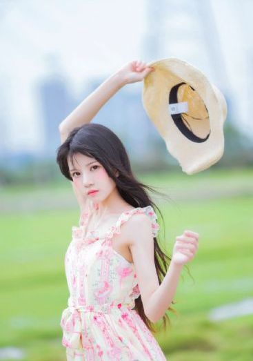 偷心大盗