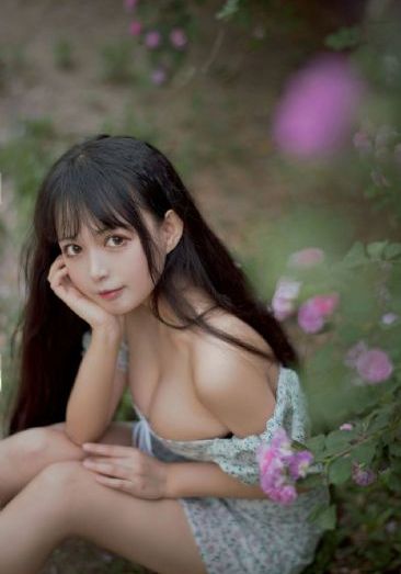 黑暗圣经全集