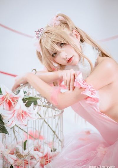 姑娘3电视剧在线观看免费