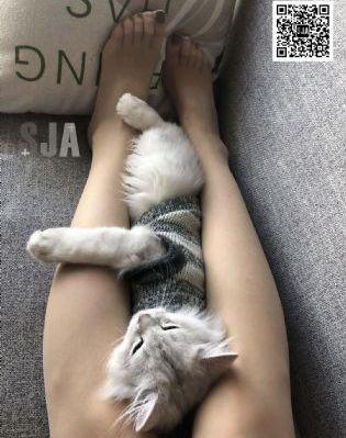 地缚少年花子君第二季