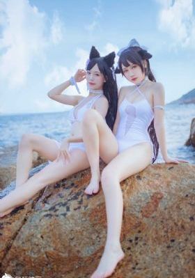 国家干部40集免费全集播放下载
