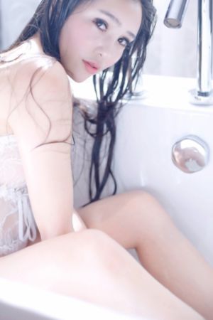 b级计划文件
