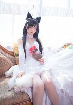 再见莫妮卡